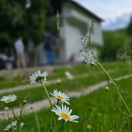 公寓 Riverstone Retreat