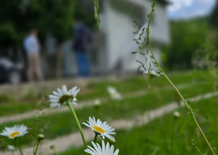 Apartment Riverstone Retreat